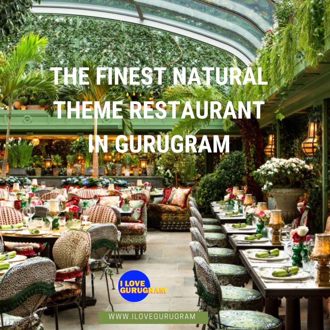 The Finest Natural Theme Restaurant in Gurugram